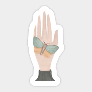 Hands Sticker